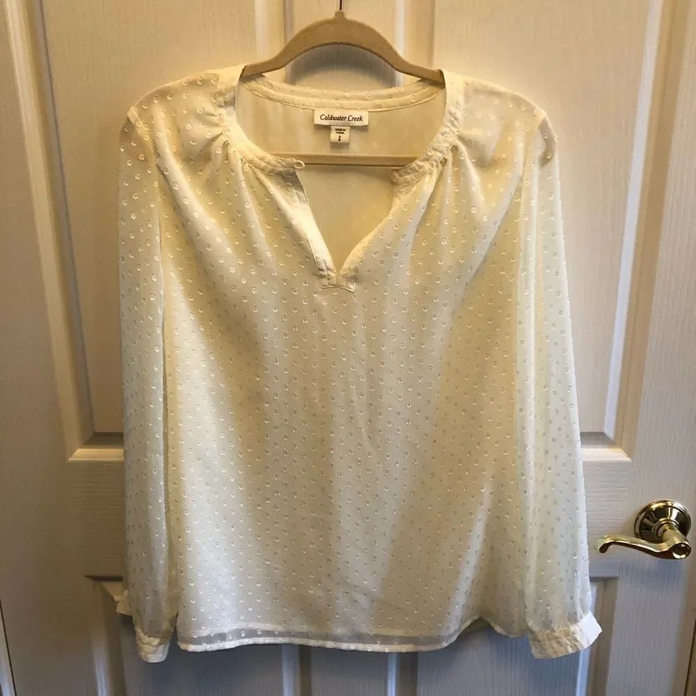 Coldwater Creek sheer blouse 